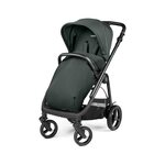 Peg Perego Veloce TC (Town and Country) Brio Lounge Modular Metal Vankrikomplekt