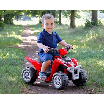 Peg Perego Polaris Mini 6V laste elektriline ATV IGMD0011
